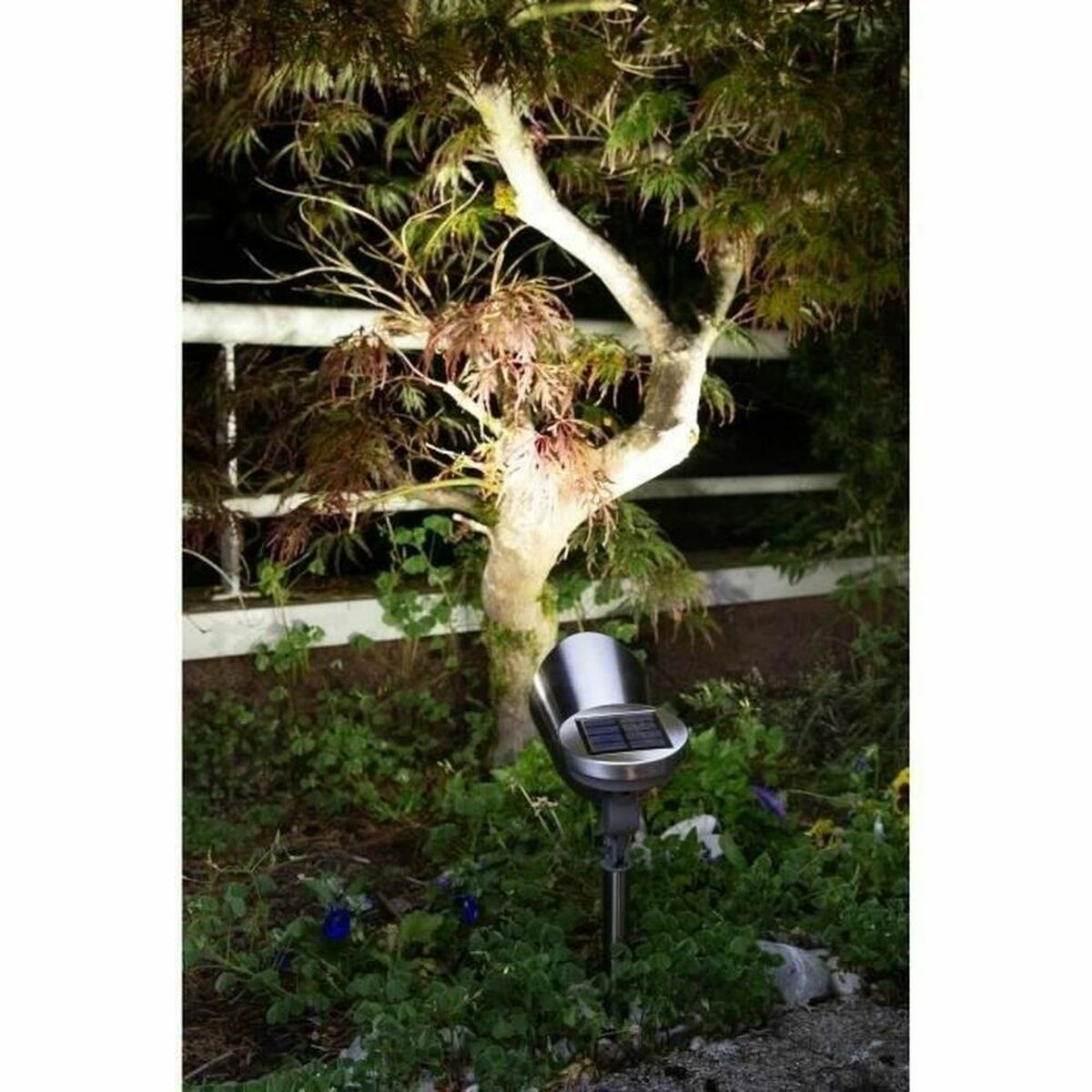 V11H52CB32AD979CACCAEDC646F6FF50179DR5430508P4