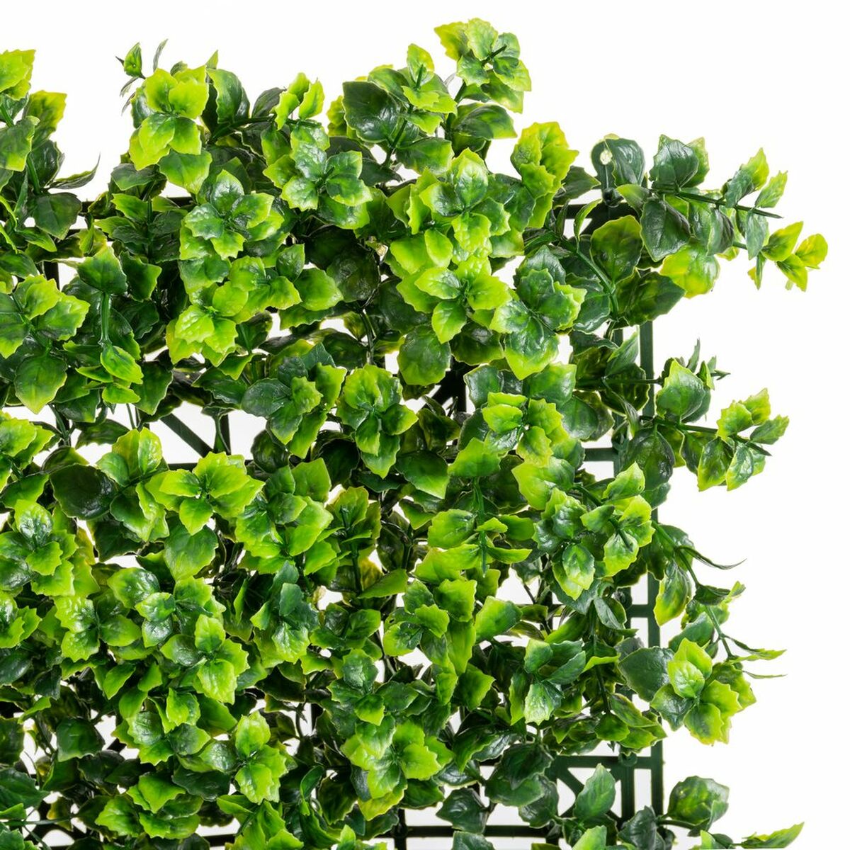 V6HFB860BCA2BC52AF306189AA7AF9D9A52R2843146P4