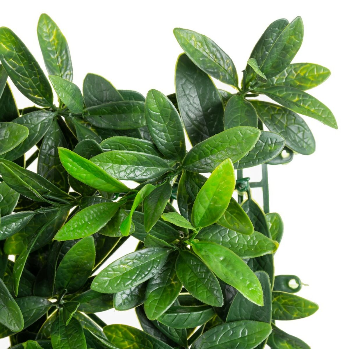 V6HCF4797914B3ADE0186B937743E0C023AR2842407P4