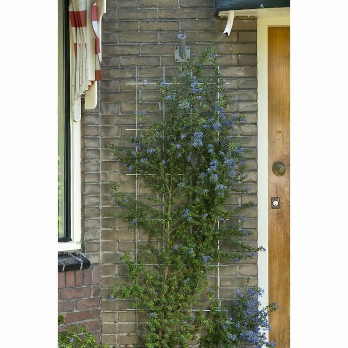 V7H8DB6A6A0E8106E4F8FD31970A54C19D0R7346220P4